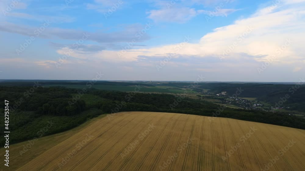 Aerial landscape view of yellow cultivated agricultural fields with ripe wheat and green woods on bright summer day Aerial landscape view of yellow cultivated agricultural fields with ripe wheat and green woods on bright summer day