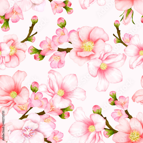 beautiful seamless pattern cherry blossom flower