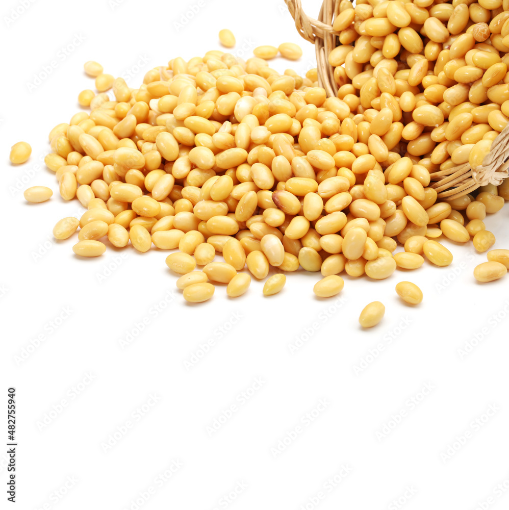 soybean isolated on white background soybean isolated on white background
