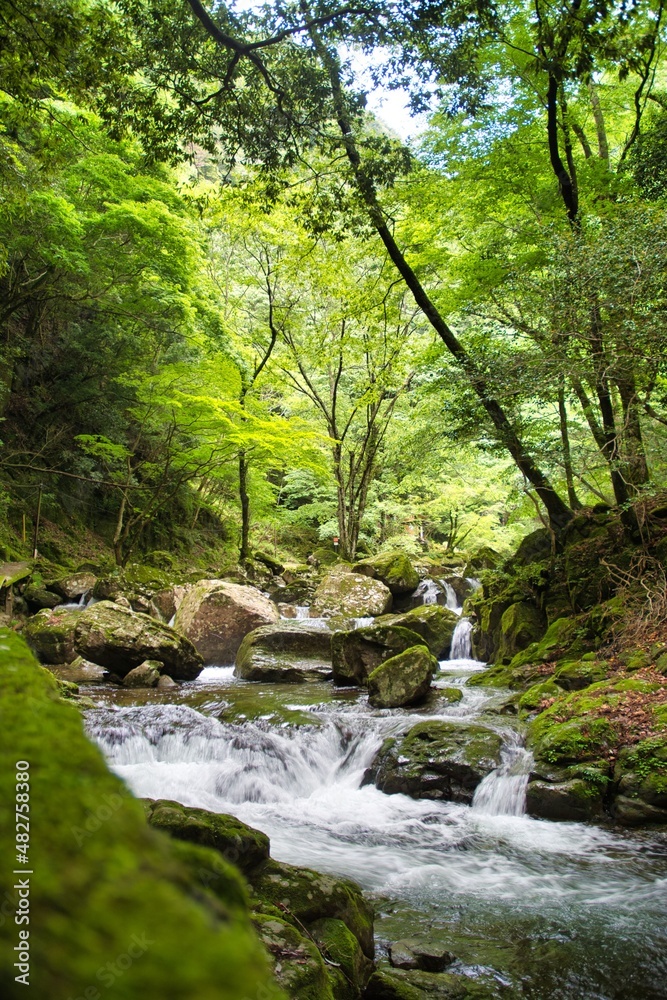 水 水