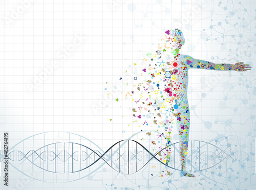 molecule body concept of the human DNA vector chemistry science illustration