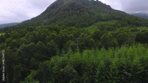 Montaña verde con hermosos árboles selváticos vista desde el aire nos invita a cuidar el planeta. photo