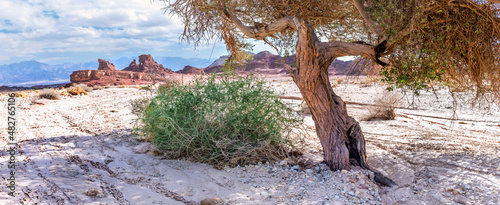 Landscape in natural park Timna, it is located 25 km north of Eilat Israel an...