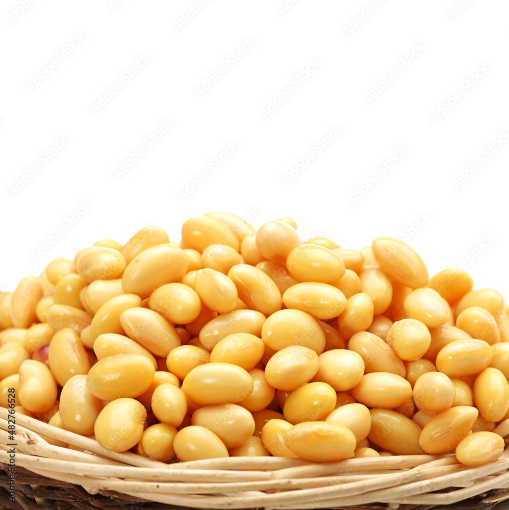 soybean isolated on white background soybean isolated on white background