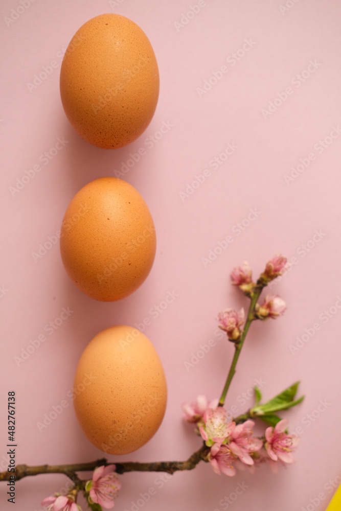 Easter eggs with spting flowers on pastel pink background