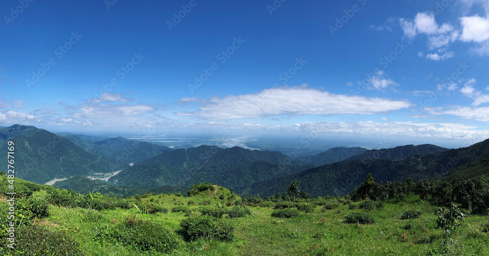 Naklejka premium Unity of nature