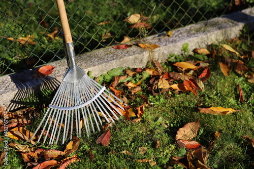 leaf rake in evening sun on the fence