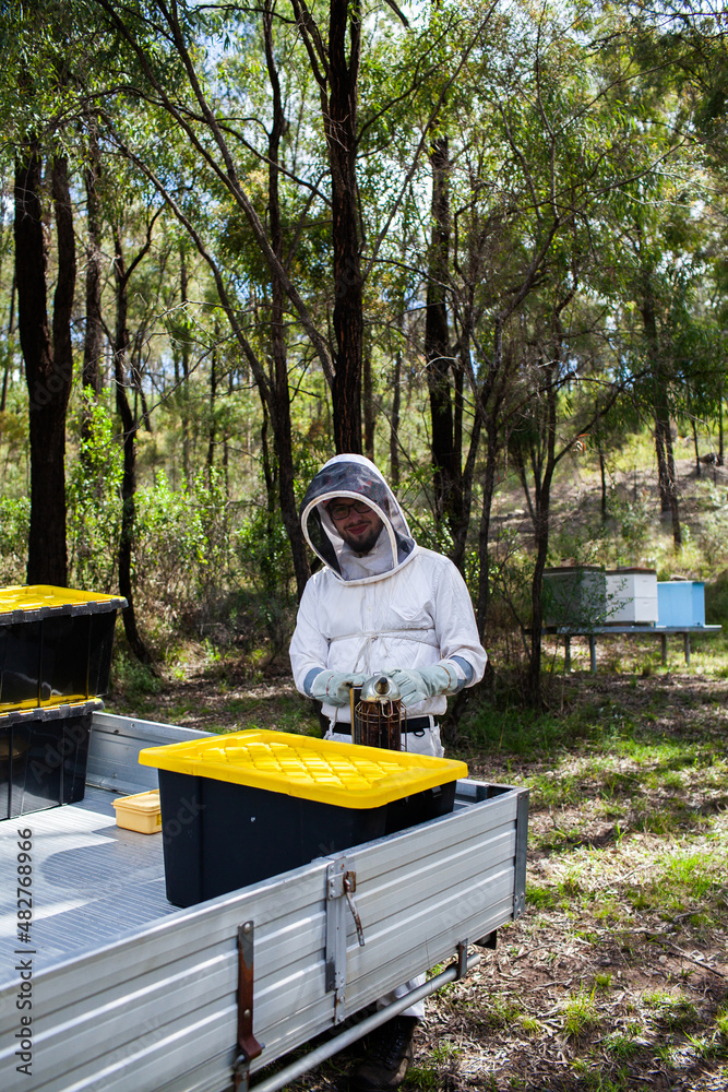 Apiarist getting ready to harvest beehives for honey in australian bushland Apiarist getting ready to harvest beehives for honey in australian bushland