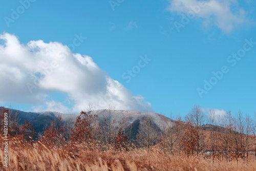 山頂にうっすら積もった雪と冬のススキ