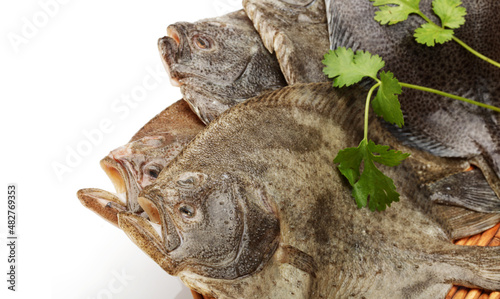 Turbot fish, isolated on white