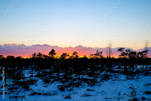 Beautiful nature landscape. Sunset on a snowy swamp in winter. Selective focus