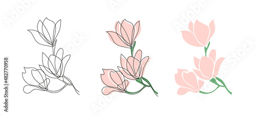 Set of three Cute blooming magnolia twig.Vector outline and flet illustrations.