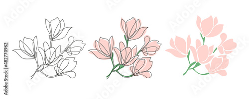 Set of three Cute blooming magnolia twig.Vector outline and flet illustrations.