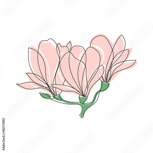 Cute outline drawing of blooming magnolia twig.Vector aesthetic contour illustration