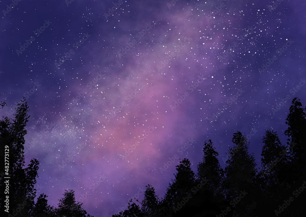 stars and night sky in the forest stars and night sky in the forest
