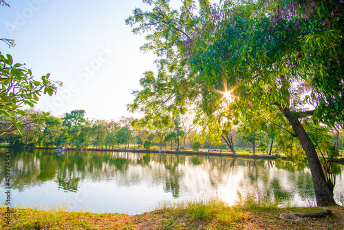 Evening sunset light in city park green tree forest with river