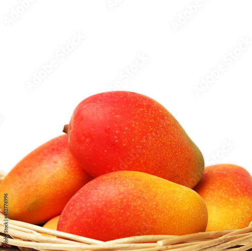 basket with mangoes  fruits on white.