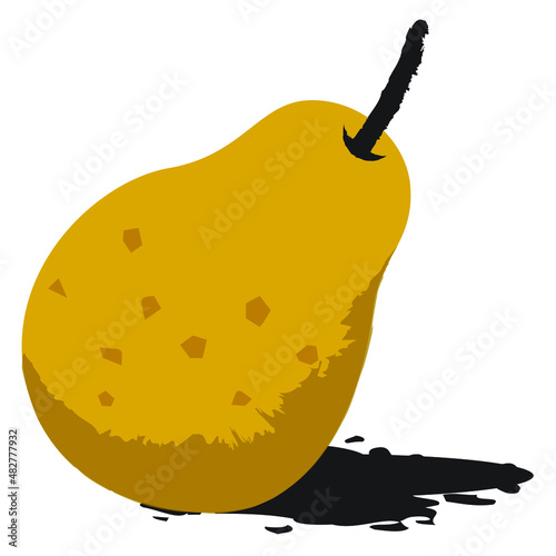 Fresh pear vector illustration