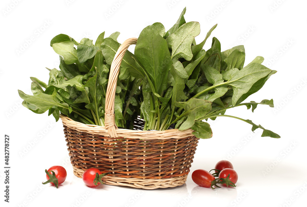 Spinach on a white background Spinach on a white background