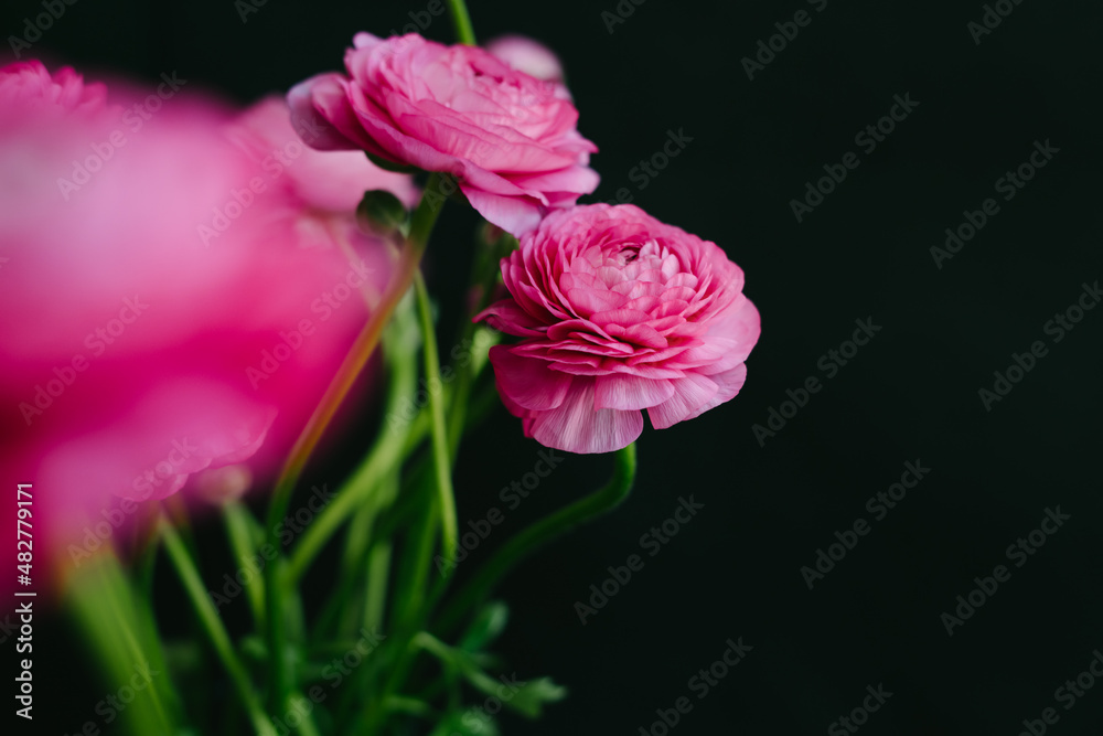 Spring bouquet for birthday, Mother's Day, March 8, International Women's Day, anniversary. Happy Valentine's Day. Spring bouquet for birthday, Mother's Day, March 8, International Women's Day, anniversary. Happy Valentine's Day.