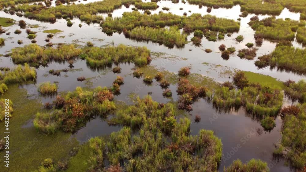 Aerial move at the wetland at evening sunset hour Aerial move at the wetland at evening sunset hour