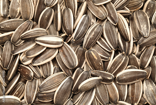 sunflower seeds background