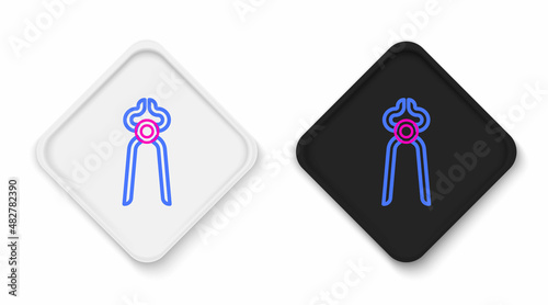 Line Blacksmith pliers tool icon isolated on white background. Colorful outline concept. Vector
