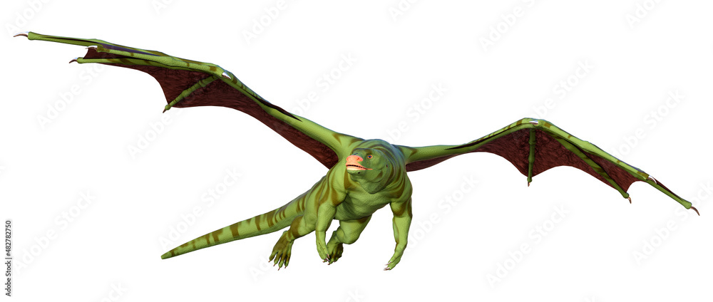 3D Rendering Fairy Tale Dragon on White 3D Rendering Fairy Tale Dragon on White