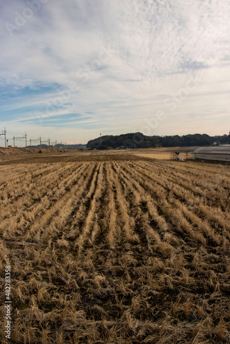 日本の田舎の風景、冬の田んぼ