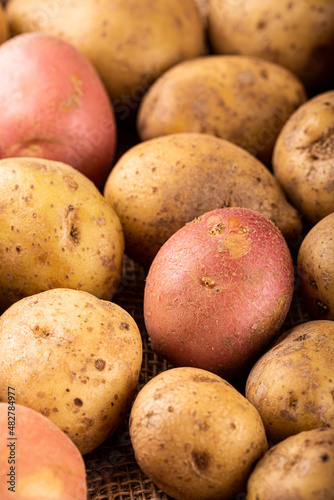 Raw unpeeled whole washed organic white and red potatoes background. Healthy vegetarian food concept