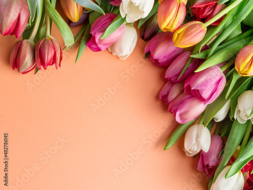 Fototapeta Naklejka Na Ścianę i Meble -  Colorful  bouquet of tulips on orange background.