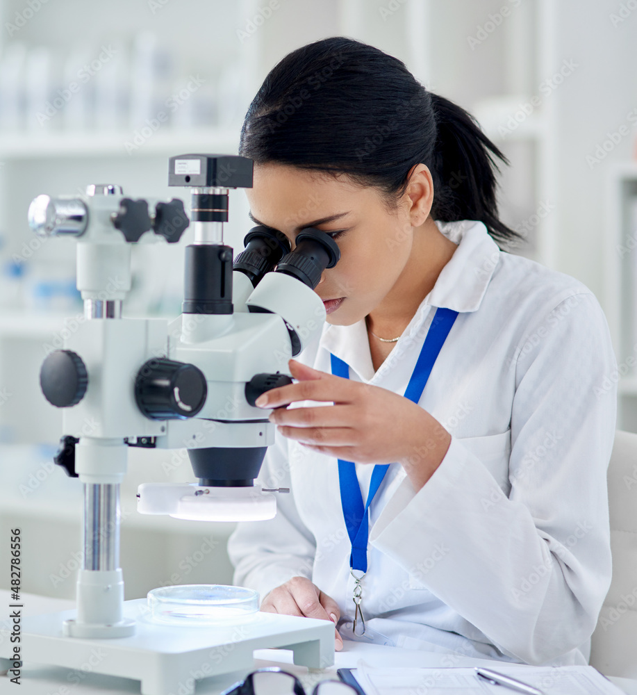 It's a whole other world under the microscope It's a whole other world under the microscope