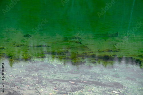 Shore by the water. The soft surface of the pearl ocean. Sandy beach of sand, stone, pebbles. background. reflection in the water of a green forest.