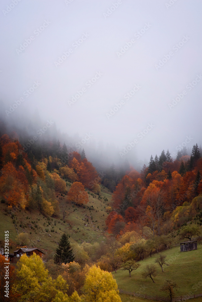 autumn in the Ukrainian mountains, houses in the autumn forest autumn in the Ukrainian mountains, houses in the autumn forest