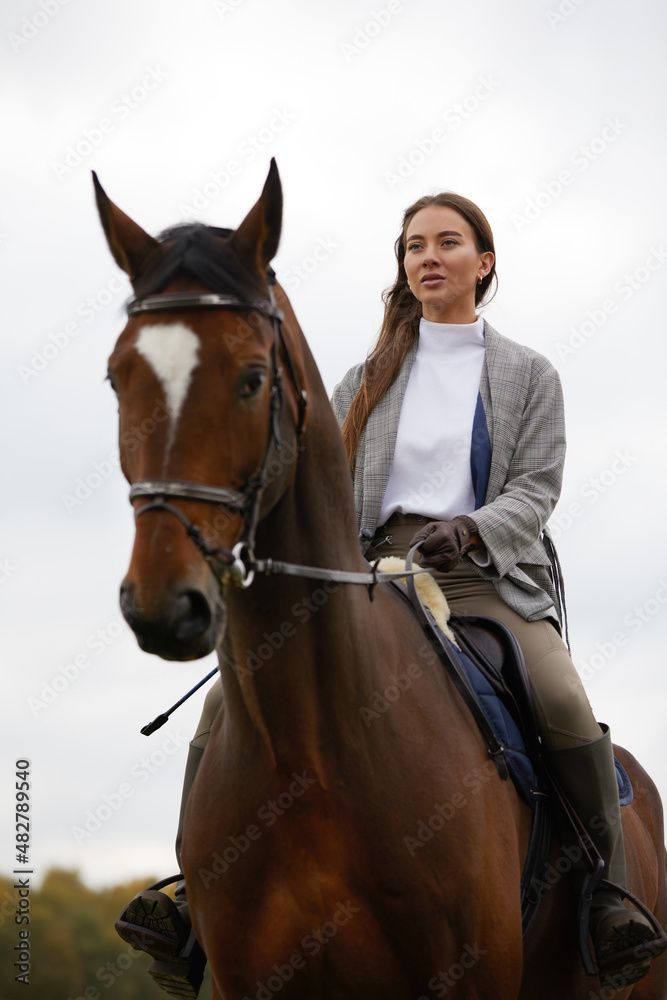 Beautiful young woman riding a horse on the field. Sideways to the camera. Freedom, joy, movement