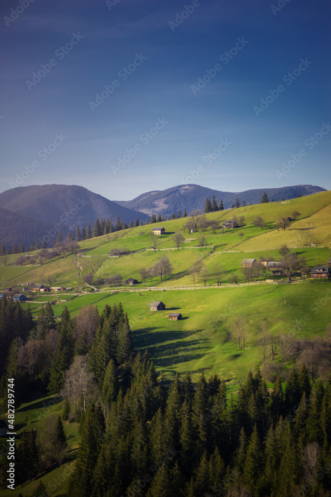 house in the mountains, Ukraine, greenery, warm light