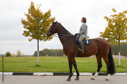 Beautiful young woman riding a horse on the field. Sideways to the camera. Freedom, joy, movement © Georgii