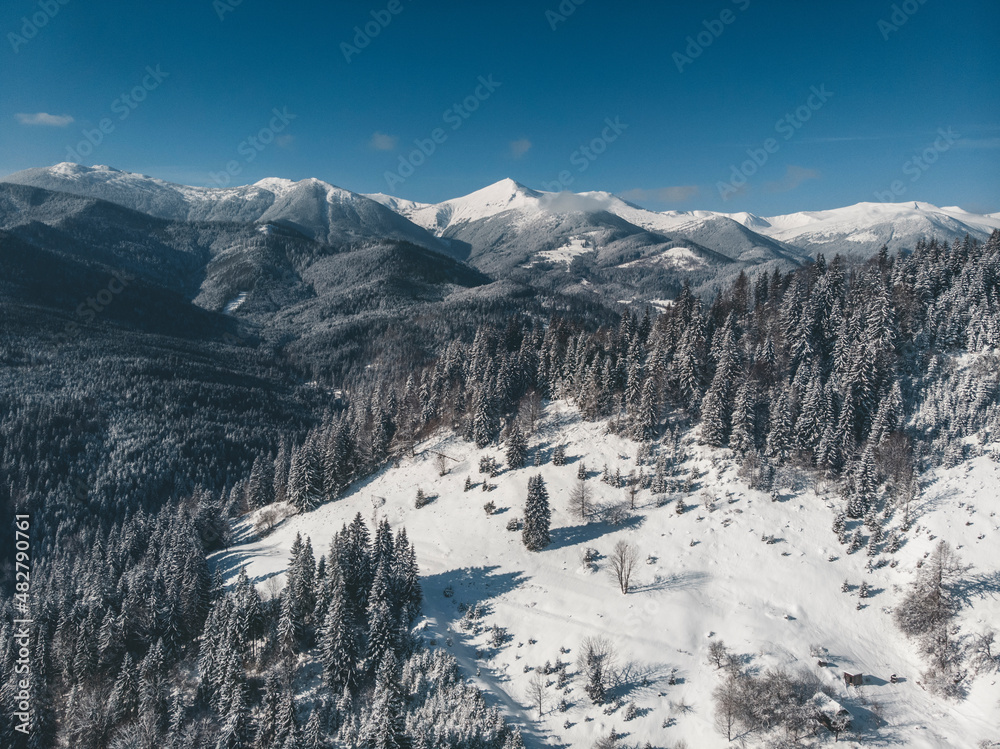 winter mountains of the carpathians, view from a drone. Christmas trees in the snow Ukraine
