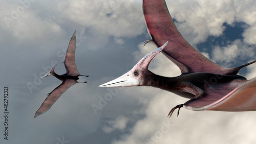Artwork of Pteranodon longiceps photo