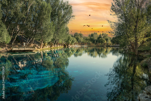 Gorgeous G  kp  nar pond with its clear turquoise water and underwater plants in green nature. Sivas - G  r  n TURKEY