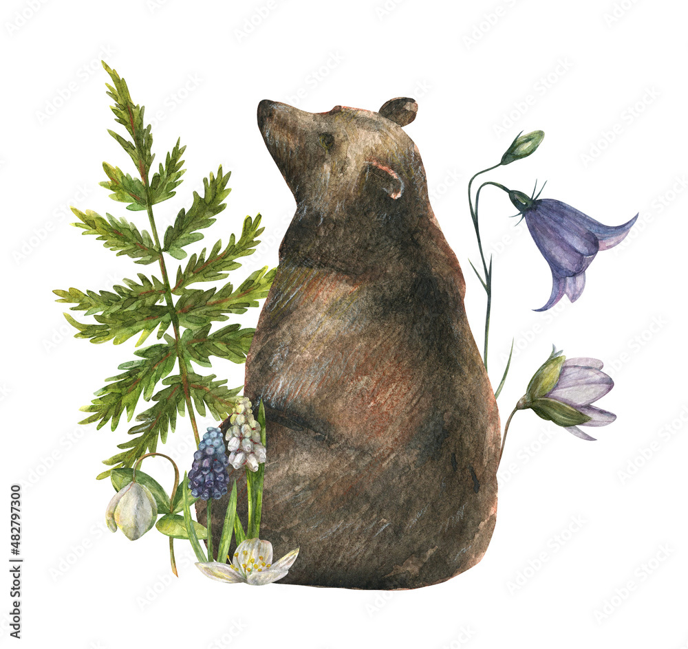 Watercolor illustration of a forest brown bear surrounded by spring ...
