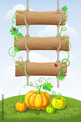 vertical autumn background with hanging wooden signboard, pumpkins, vines, leaves, curly tendrils, ladybugs and text place. fall harvest poster. hello autumn, Thanksgiving, pumpkins festival banner.