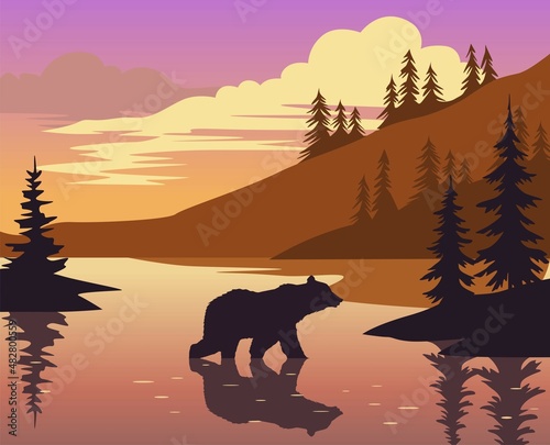 silhouette of a bear in sunset