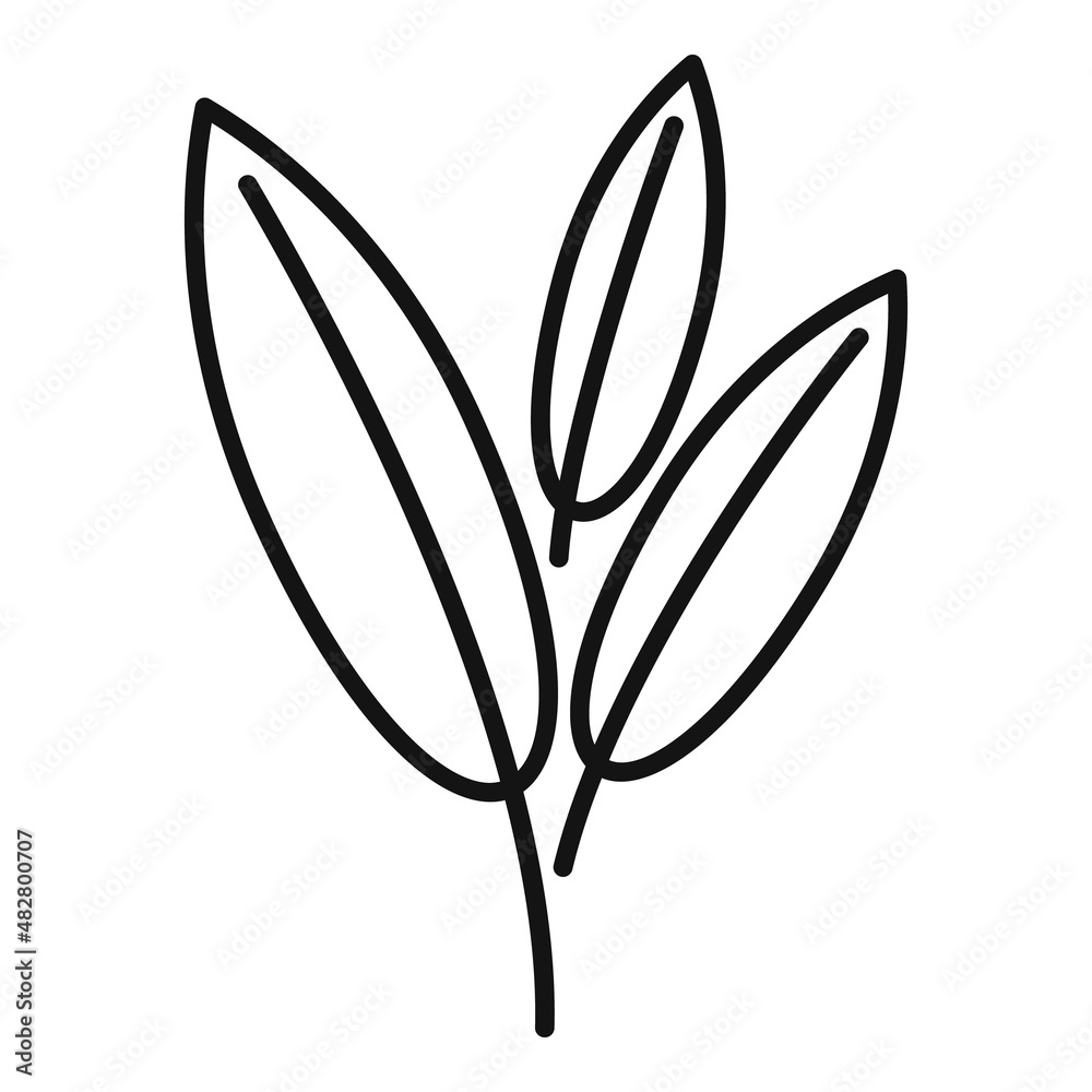 Sage herb icon outline vector. Smudge mint Sage herb icon outline vector. Smudge mint