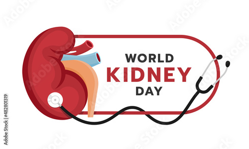 World kidney day banner - kidney sign on rounded frameand with stethoscope wrapped around vecter design photo