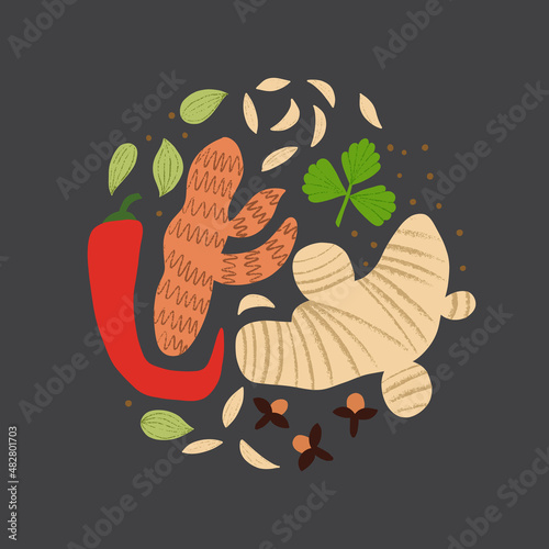 Curry spice mix. Flat hand drawn seasoning for cooking Indian food. Ginger, cumin, turmeric, cardamom, cloves, coriander.