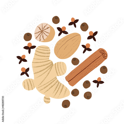 Pumpkin spice mix. Gingerbread seasoning blend with spicy ingredients. Flat hand drawn ginger, nutmeg, cinnamon, allspice, cloves collection.