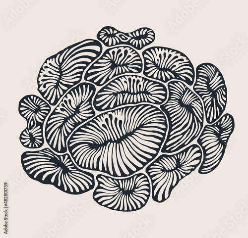 Decorative design element with hand drawn abstract floral pattern.  Vector illustration