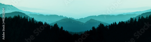 Fotografie, Obraz Amazing mystical rising fog forest trees mountains landscape panorama in Black F
