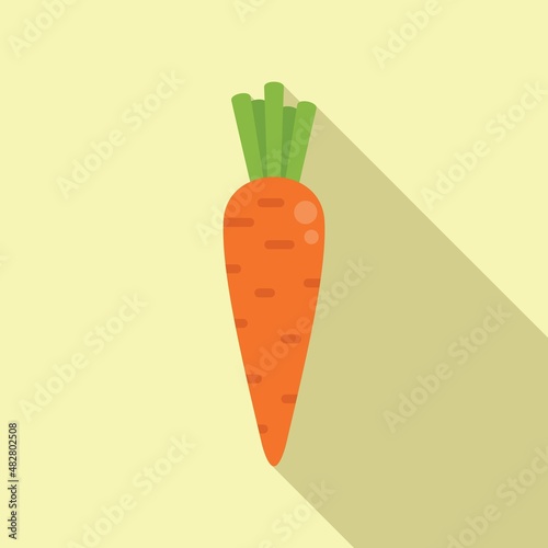 Fresh garden carrot icon flat vector. Sport food